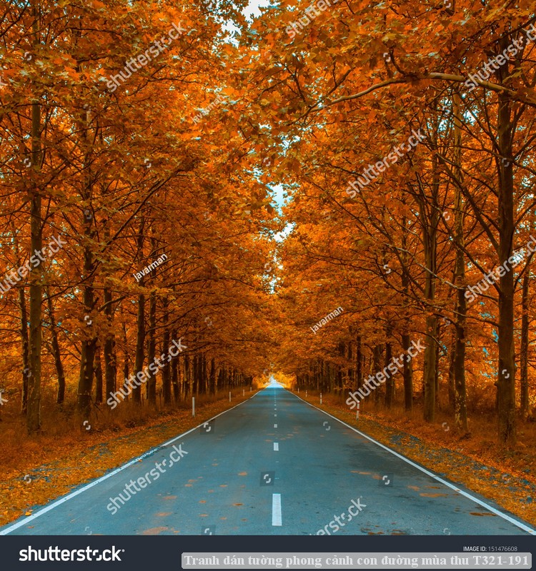 Tranh dán tường phong cảnh con đường mùa thu T321-191